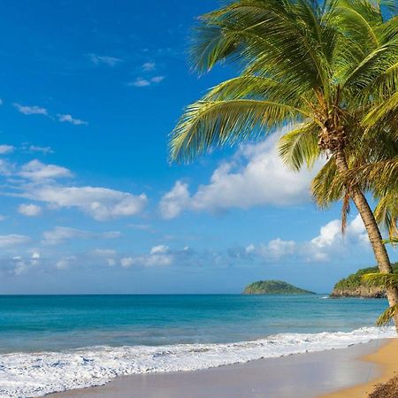 L'Alizee & Spa Jacuzzi Privatif Haut De Gamme Sainte-Rose Bagian luar foto