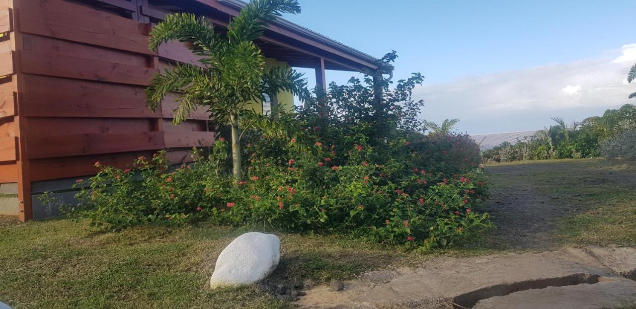 L'Alizee & Spa Jacuzzi Privatif Haut De Gamme Sainte-Rose Bagian luar foto