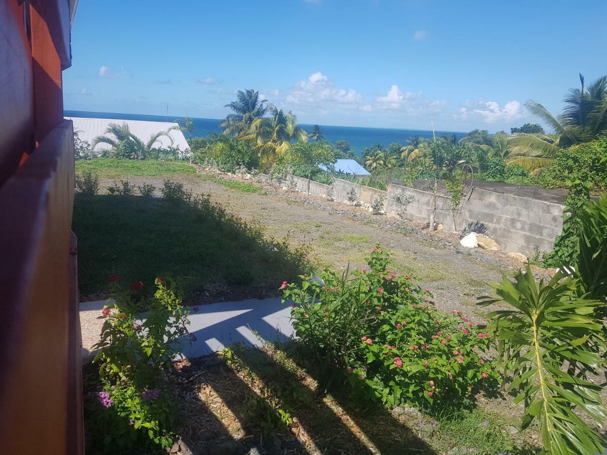 L'Alizee & Spa Jacuzzi Privatif Haut De Gamme Sainte-Rose Bagian luar foto